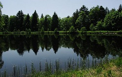 Ballon d'Alsace - Etang des Roseaux