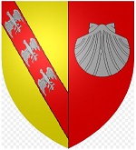 Château-Salins - Vue générale