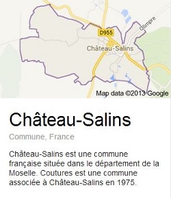 Château-Salins - Vue générale