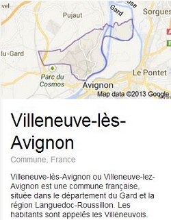 Villeneuve-les-Avignon - Le Pont d'Avignon